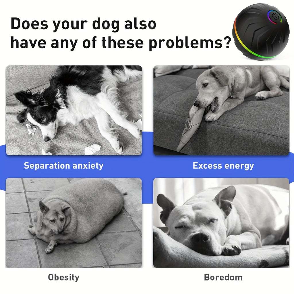 Intelligent dog toy, interactive pet toy, random rolling and jumping, colorful lights, long-lasting battery life of 4 hours, inc