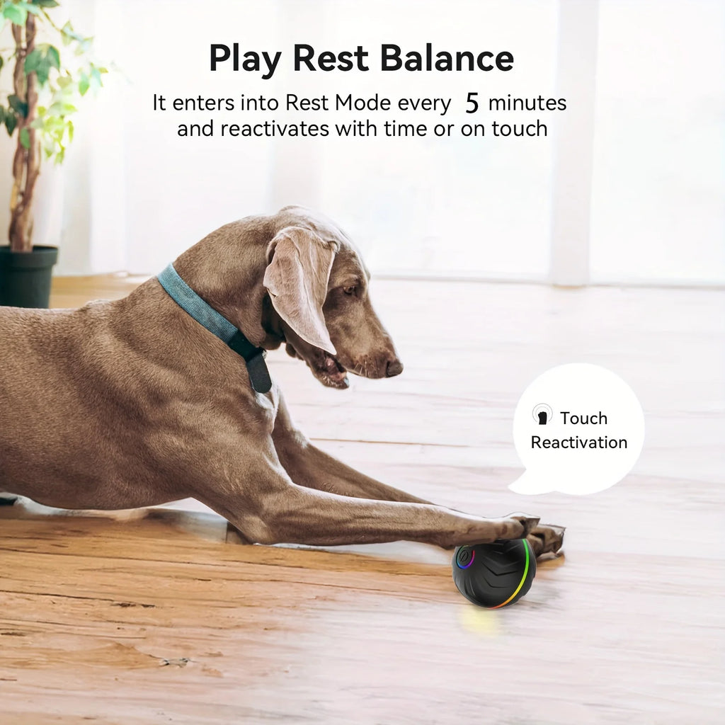 Intelligent dog toy, interactive pet toy, random rolling and jumping, colorful lights, long-lasting battery life of 4 hours, inc